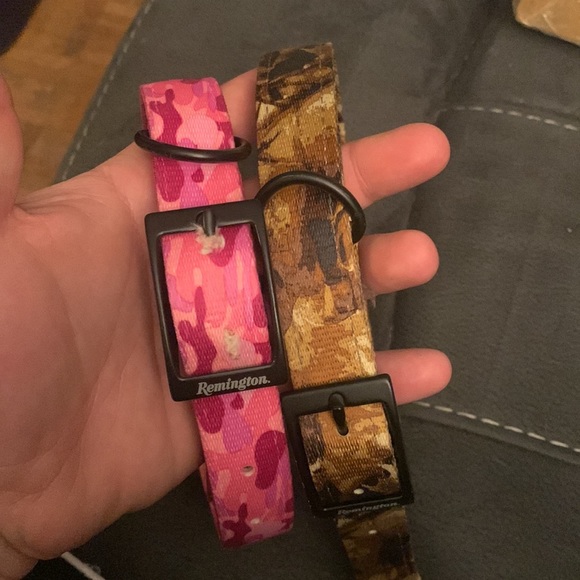 2 dog collars - Picture 2 of 2